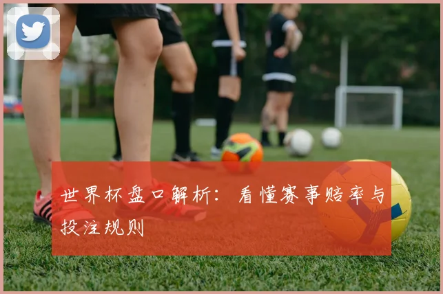 世界杯盘口解析:看懂赛事赔率与投注规则