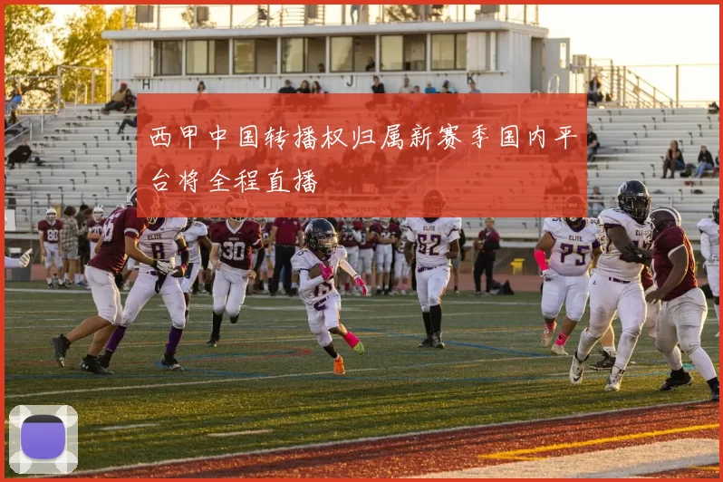 西甲中国转播权归属新赛季国内平台将全程直播