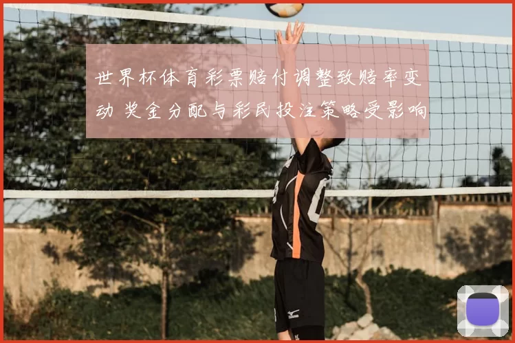 世界杯体育彩票赔付调整致赔率变动 奖金分配与彩民投注策略受影响