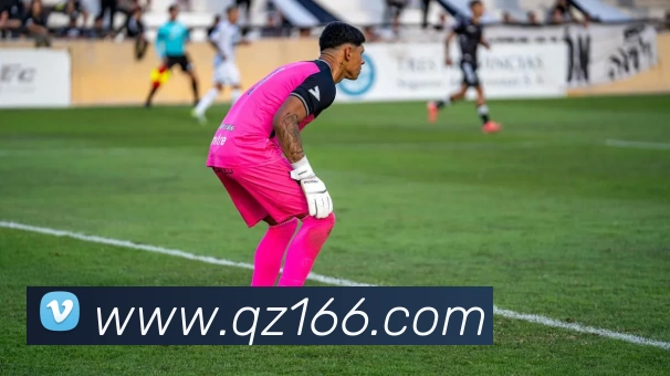 尊龙凯时 - 人生就是搏!平台生态图